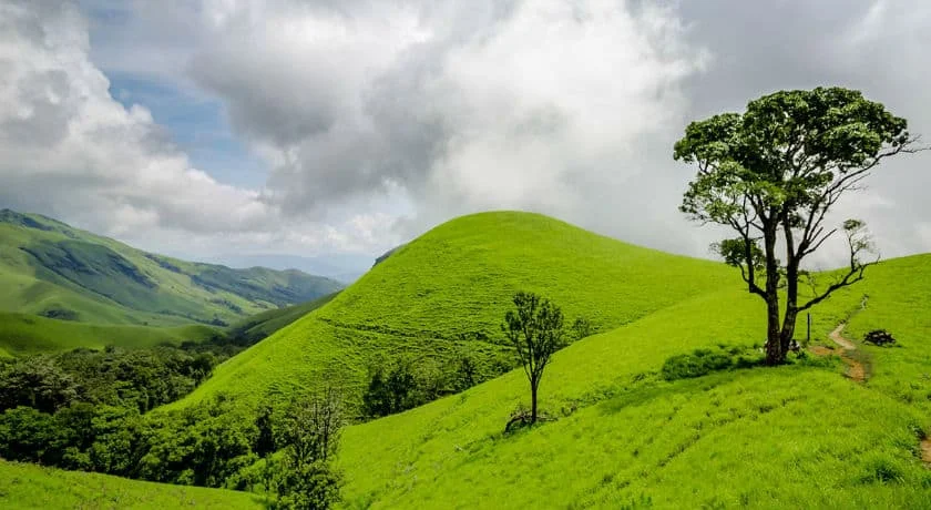 Chikkamagaluru coffee estates and Western Ghats hills near Bangalore